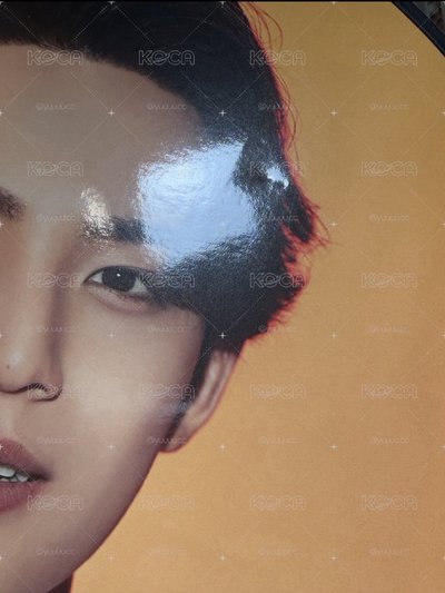 bts奎大扇