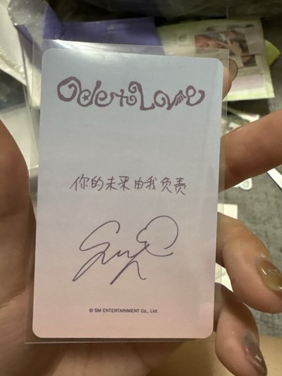 Sakuya中文卡背 你的未來我負責