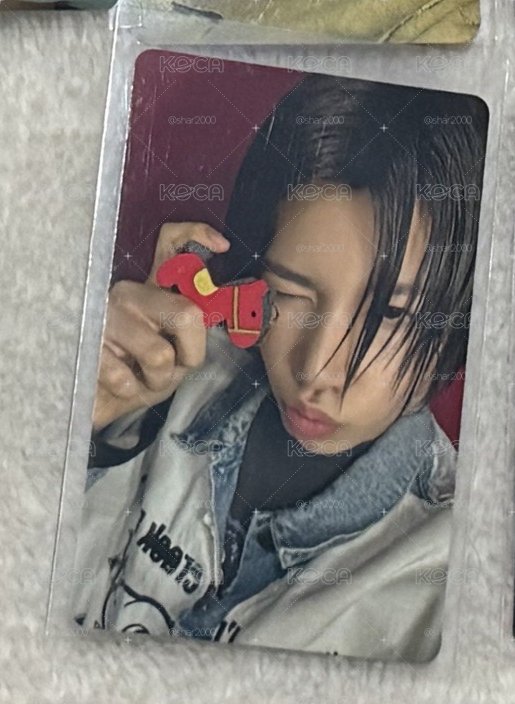 現貨｜馬年路易 中文卡背