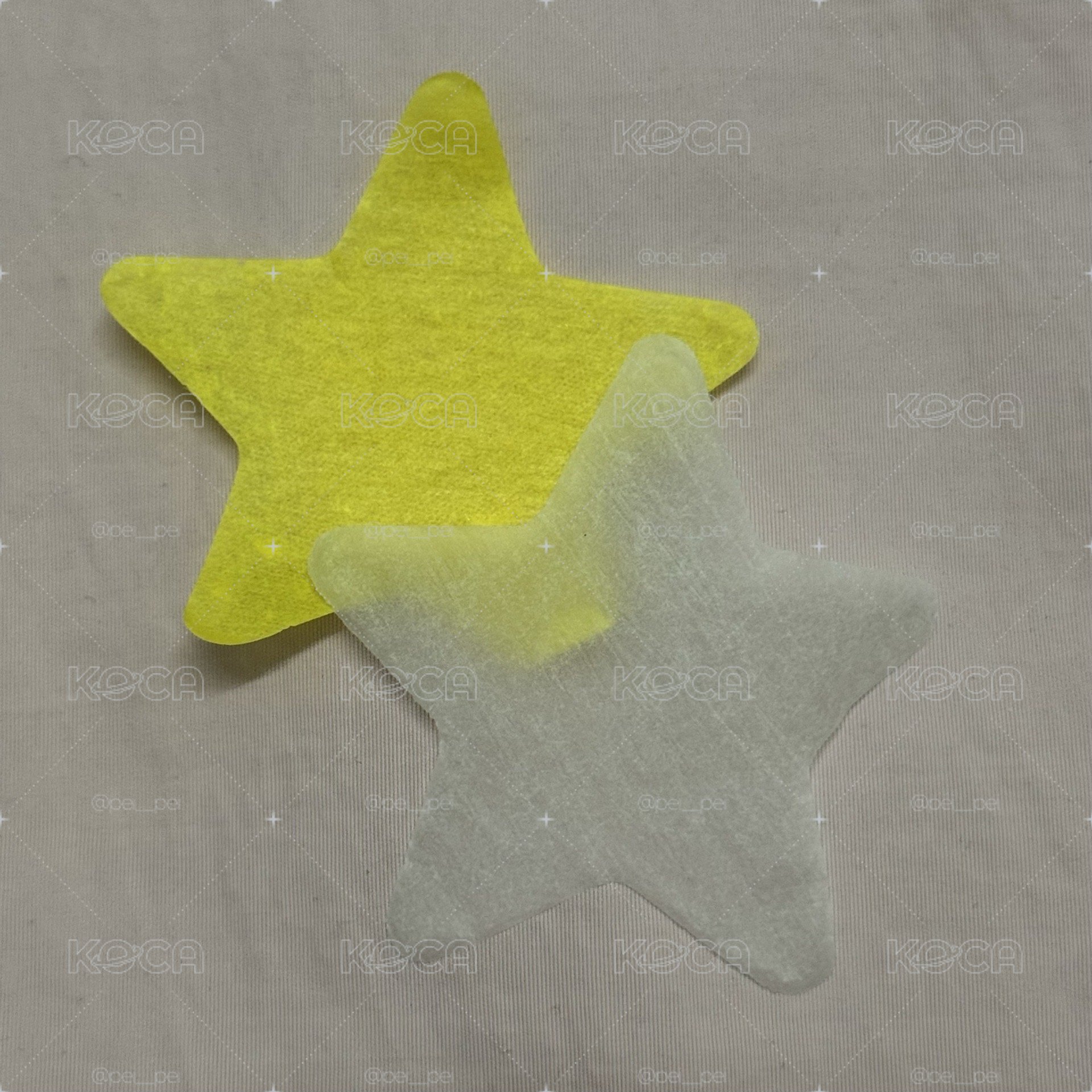 DxS 碩寛 仁川 蝴蝶紙花