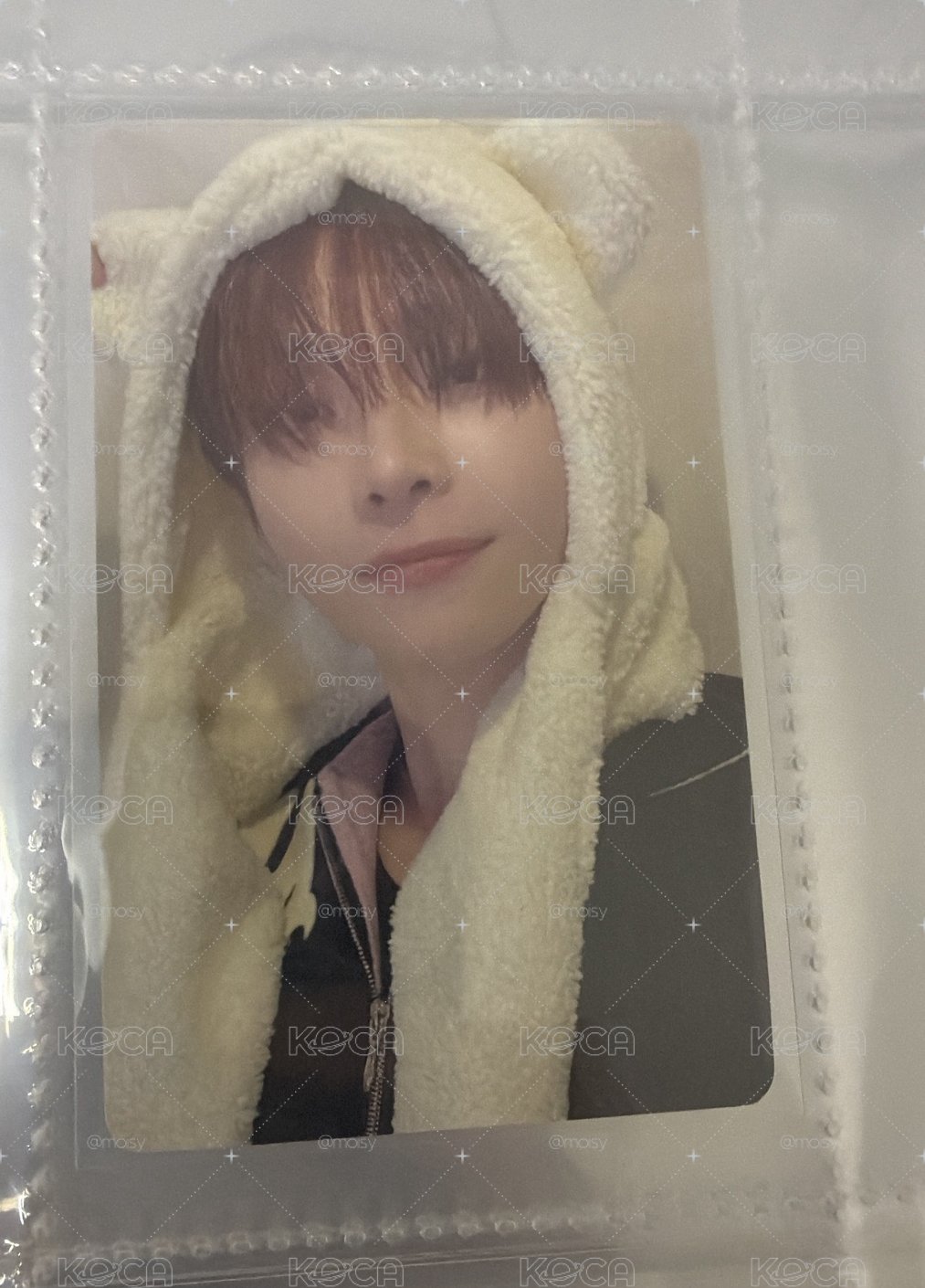 Nicholas動物卡