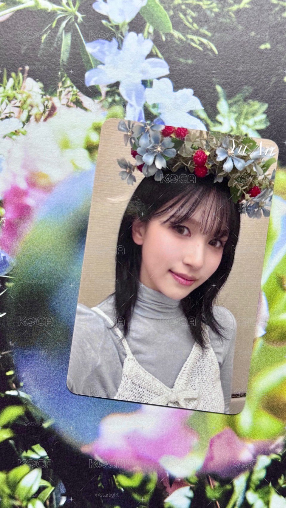 花圈南