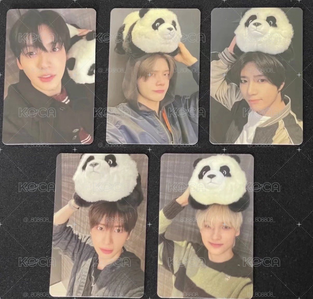 txt 迷8 限定熊貓卡 顯