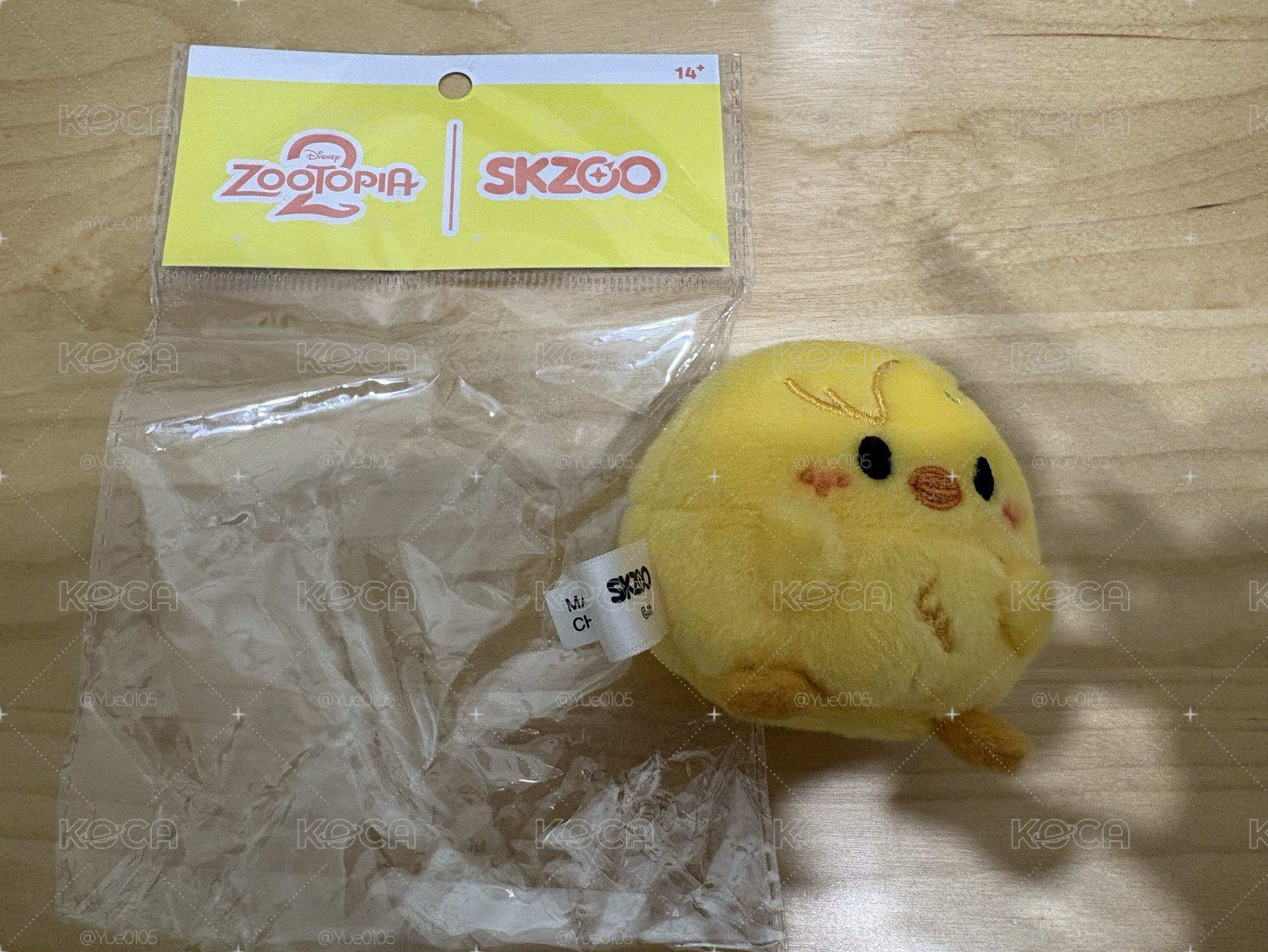 菲蛋娃
