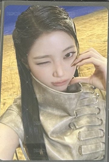 環球2.0葉