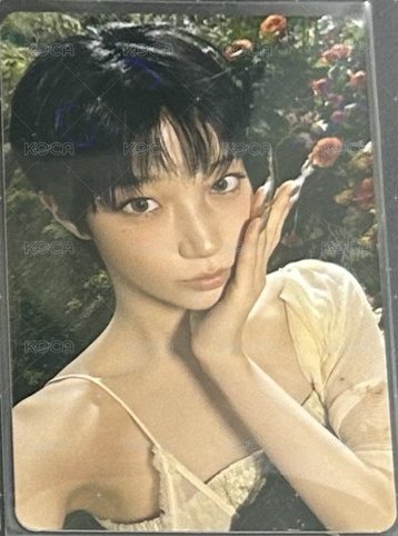 環球預售葉
