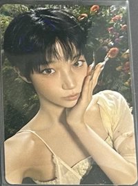 環球預售葉