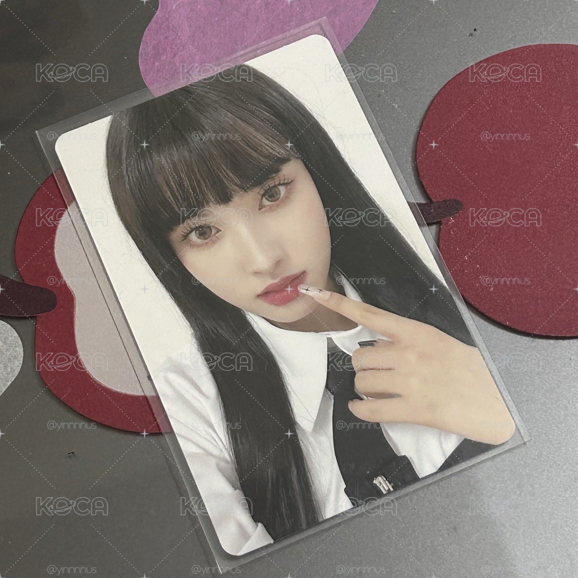poppy 限定盤 🐯