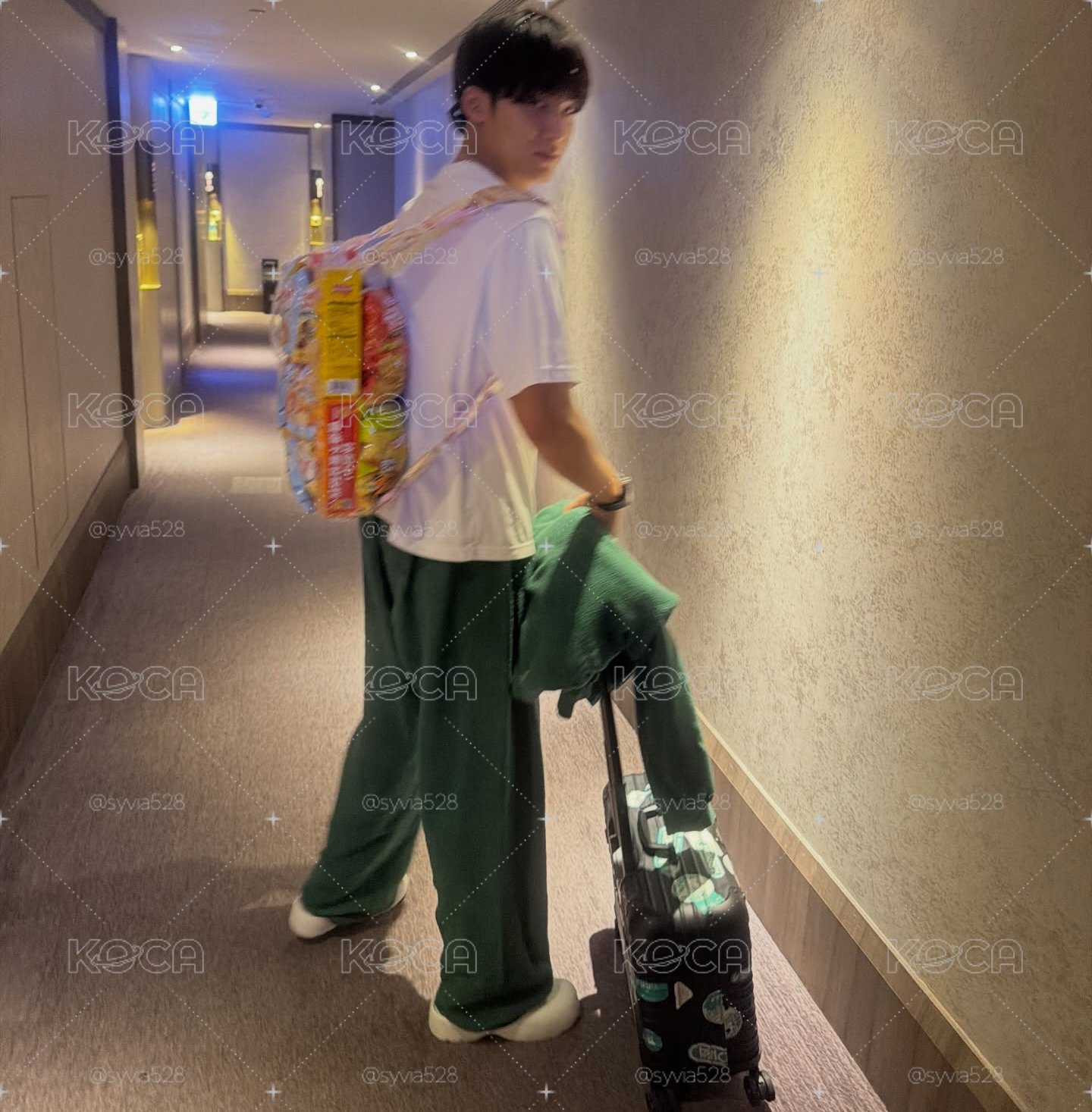 奎