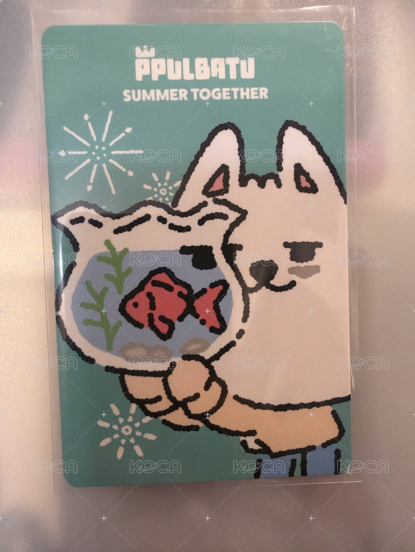 夏日大阪勇猛