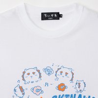 滿滿的獅薩