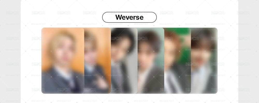 wvs幸運卡