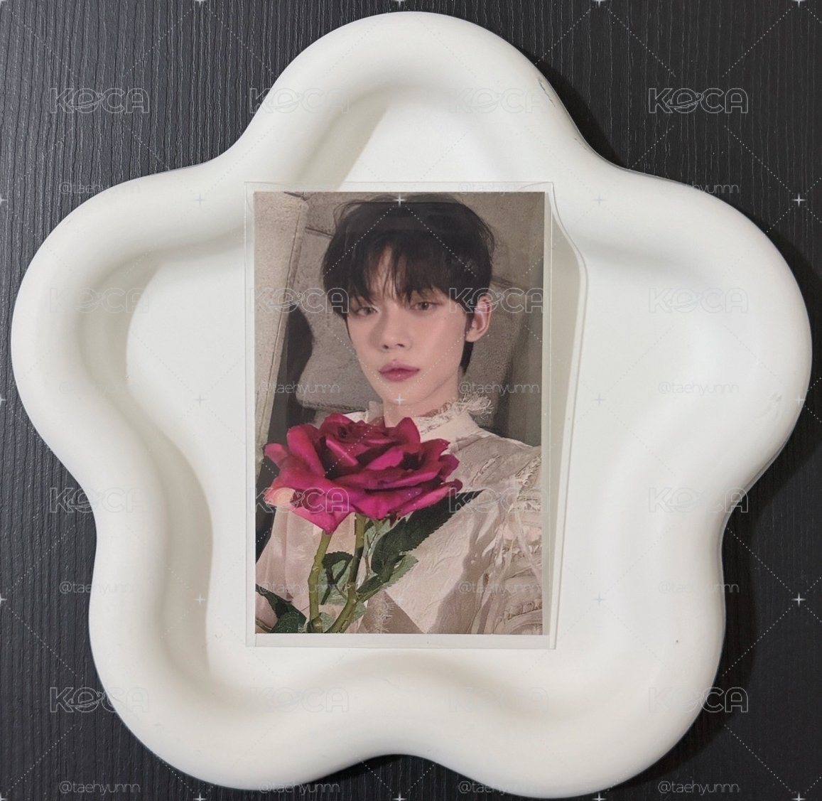 玫瑰打歌竣🌹🦊