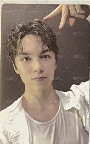 迷十二wvs特典
