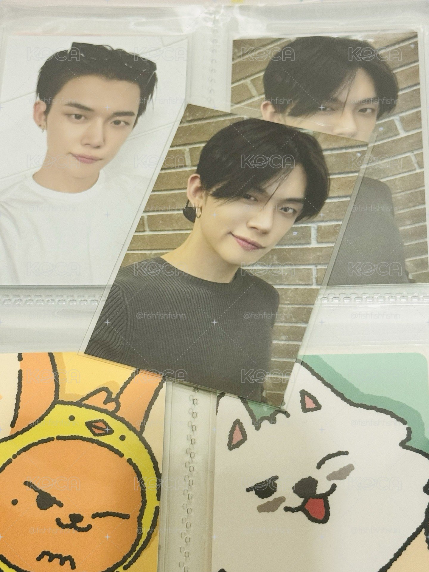 𓈒⚬𓏸○◌ TXT ◌○𓏸⚬𓈒FINDING MOA wvs滿額卡🦊