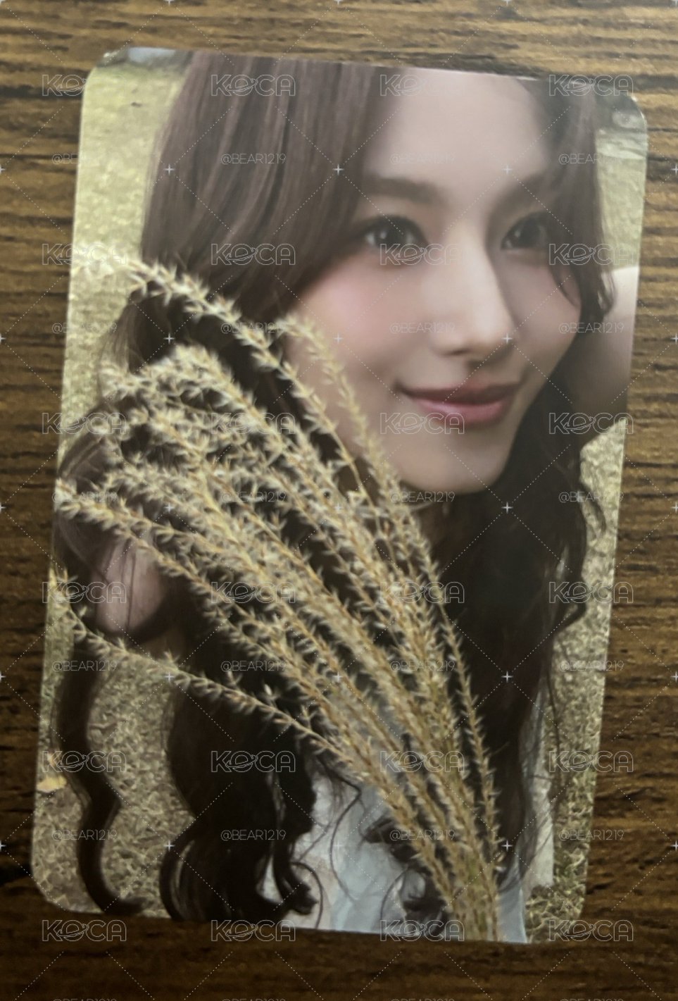 稻穗🌾紗💜