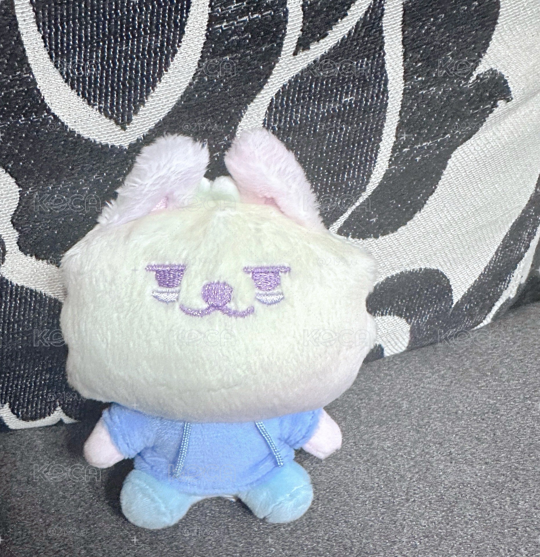 淡顏薄荷勇猛  ꒰ ⩌ᴥ⩌ ꒱