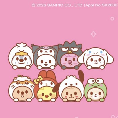 預購 SKZOO 三麗鷗-2