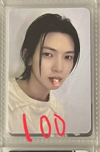 小熊軟糖尚