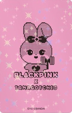 Tamagotchi 滿額卡  背面