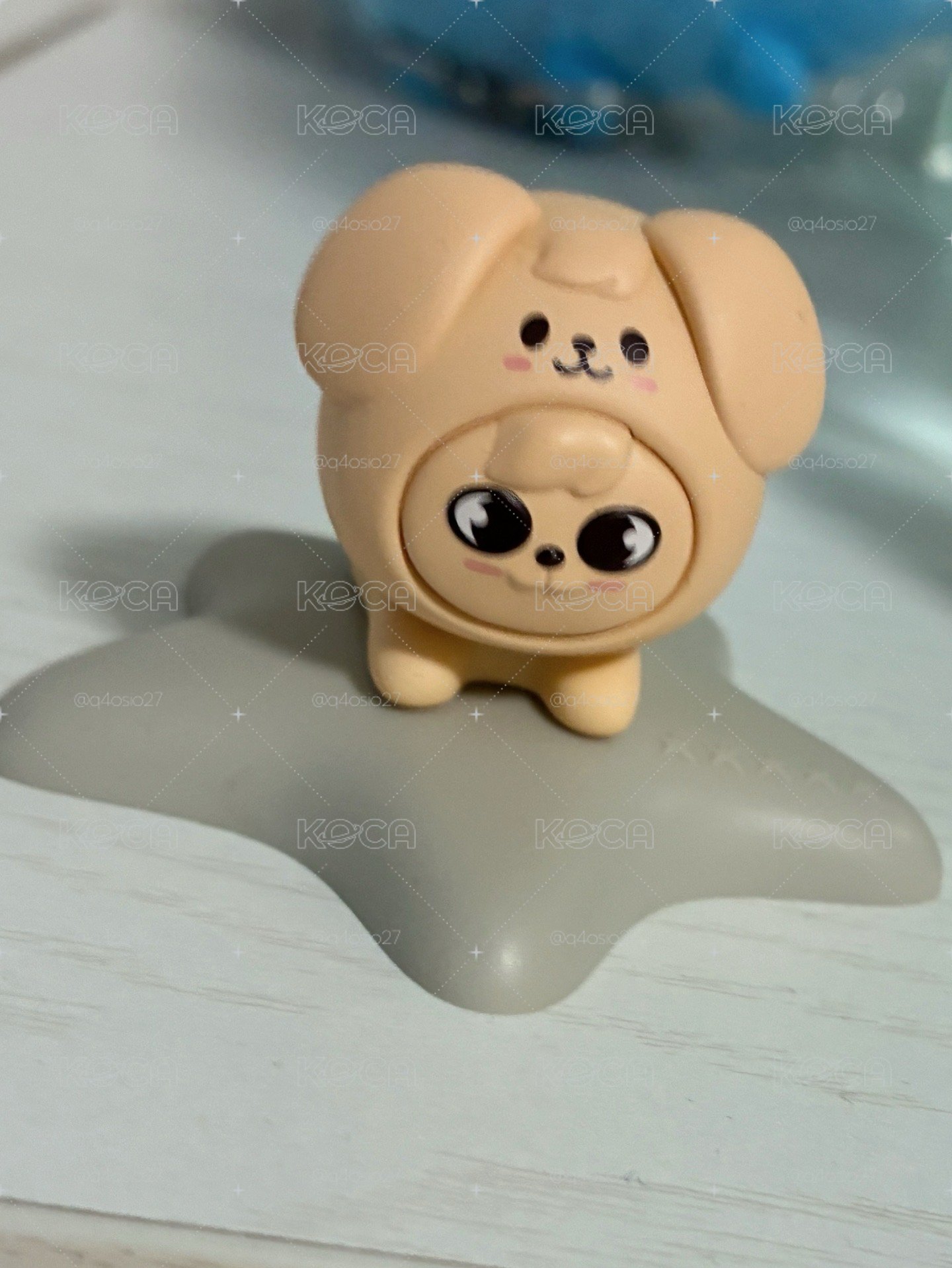🐶