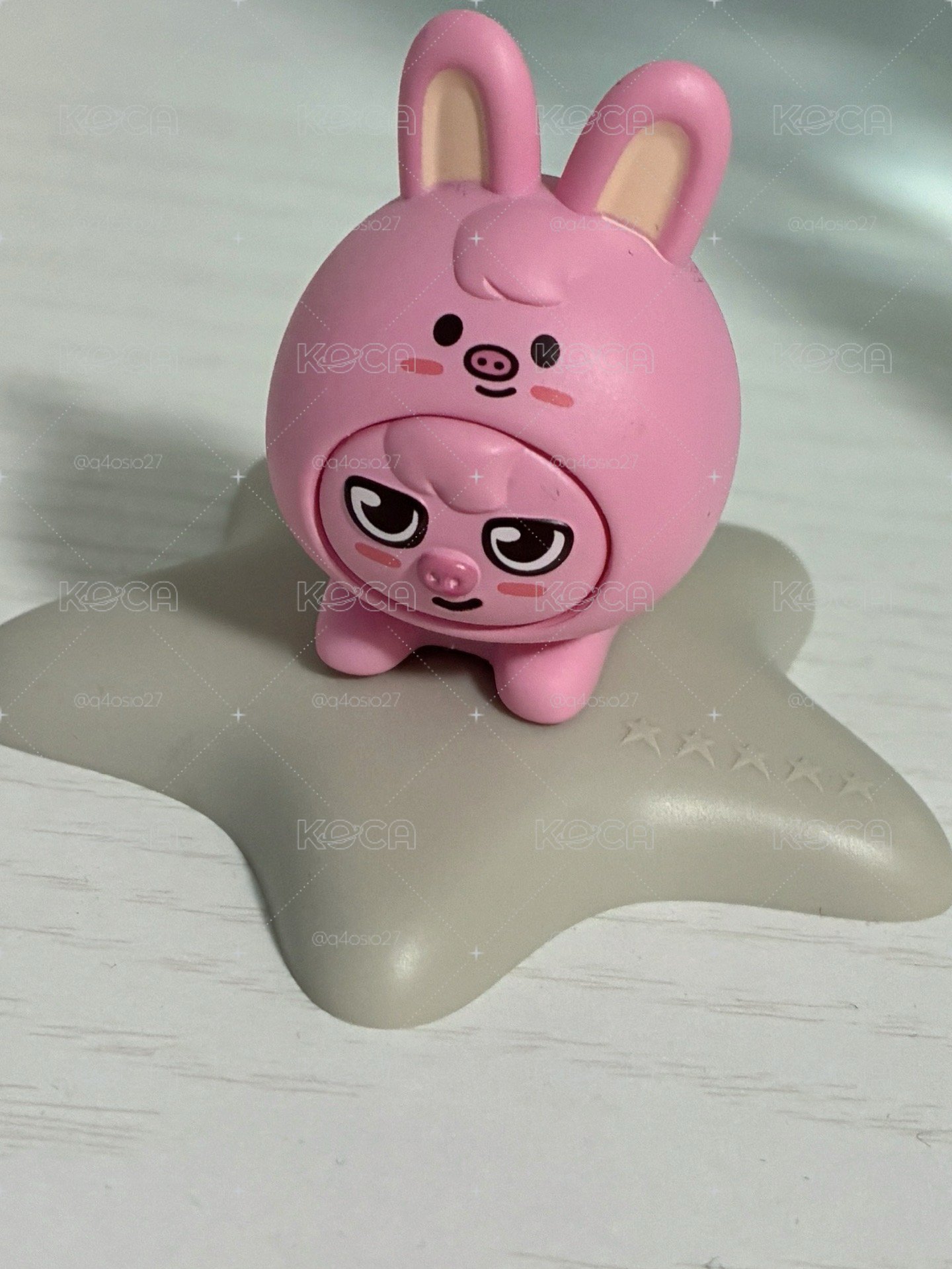 🐖🐇