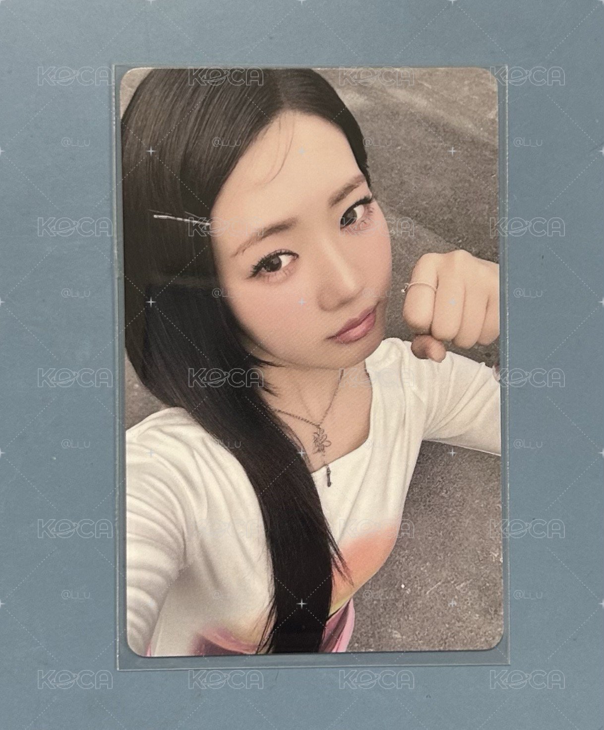 台北滿額茶 中背