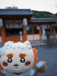 楊