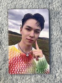 wvs大阪場限