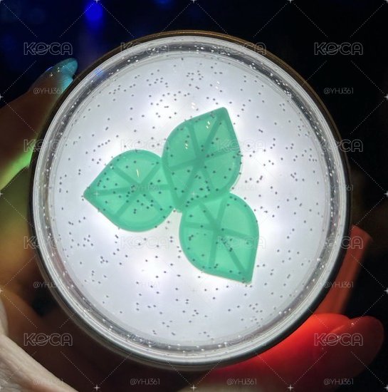 DAY 6 錶燈(8成新/有使用過）