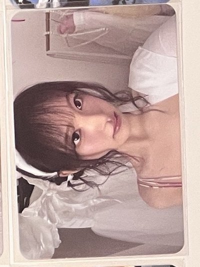 芭蕾栗