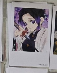 普卡19