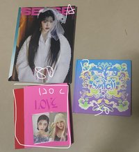 圖二B