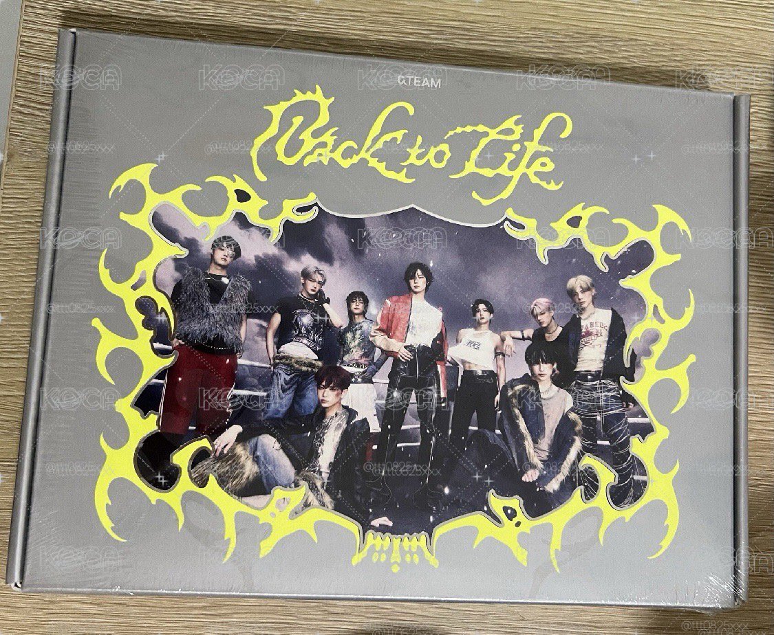兩本一起 &team back to life 迷一 未拆專 小狼 🐺 橘版*1+灰版*1