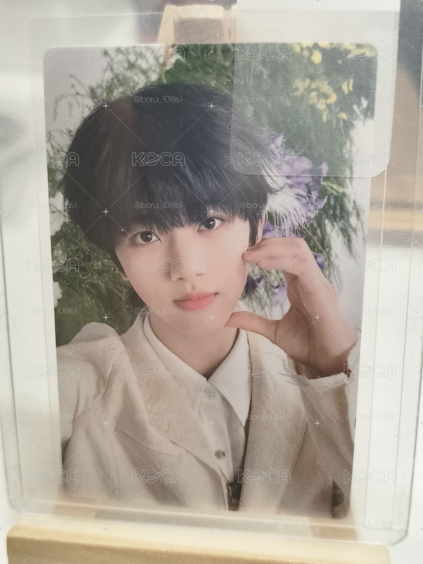 瑞卡