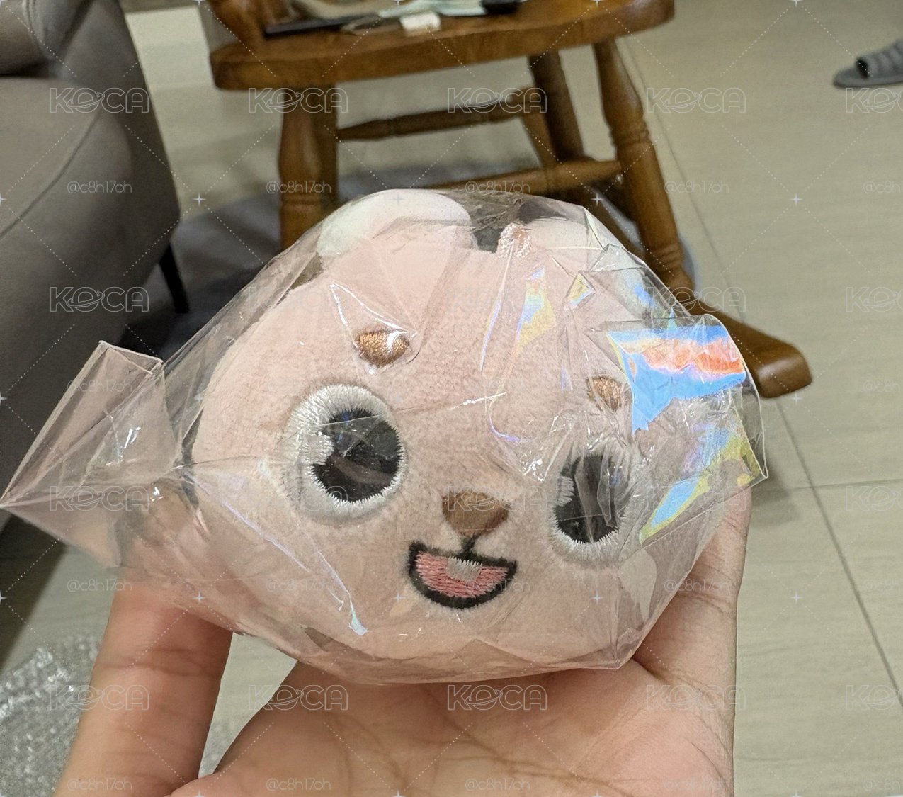 day6 元弼 趴娃