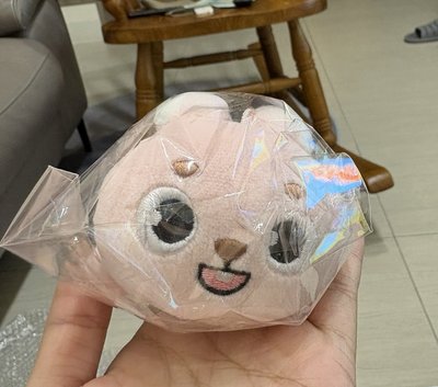 day6 元弼 趴娃
