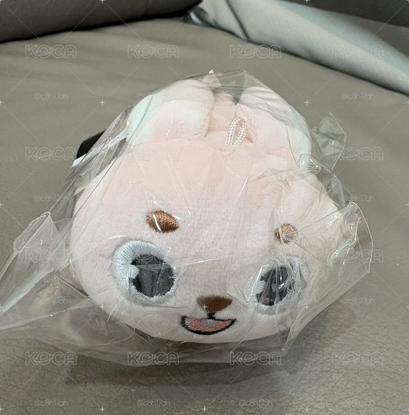 day6 元弼 趴娃