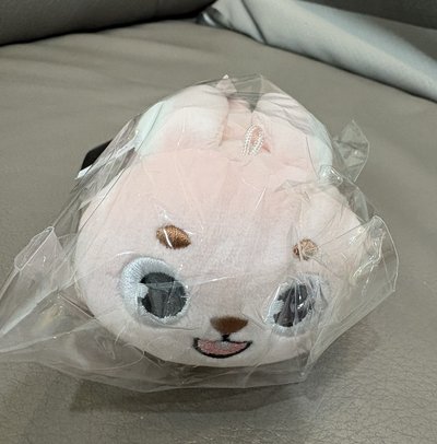 day6 元弼 趴娃