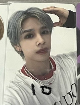 狗狗朴