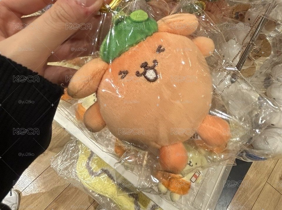 橘子布丁狗🍊