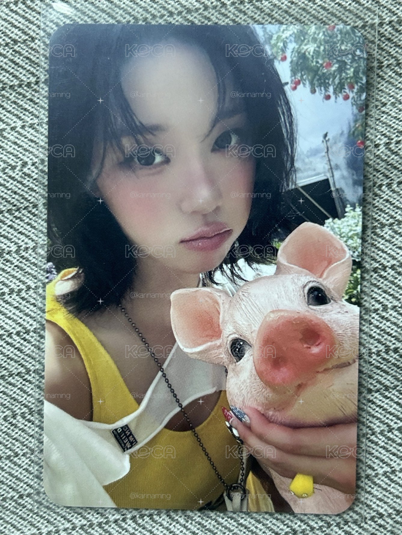 ⭐️🐷1元起標 小豬冬🐷⭐️