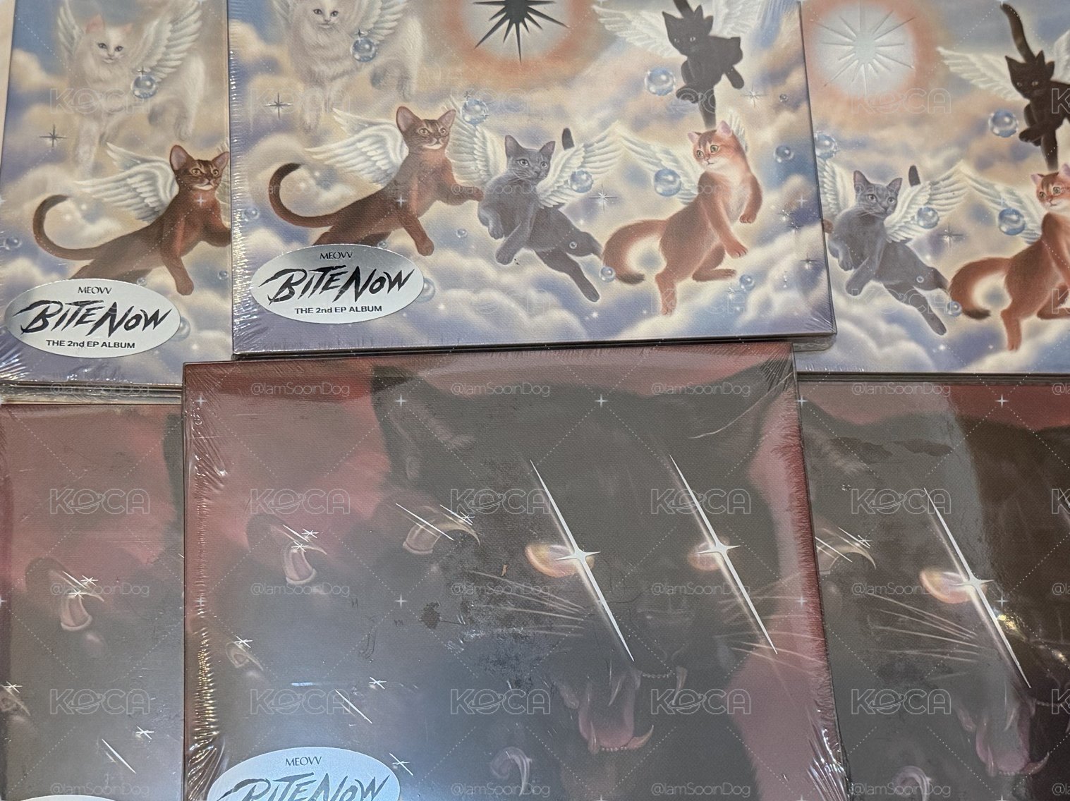 MEOVV美版親簽 BEAST ver.+ANGEL ver.