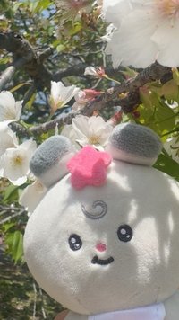 kiki