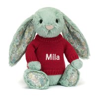 Sage Bunny with Personalized Red Jumper