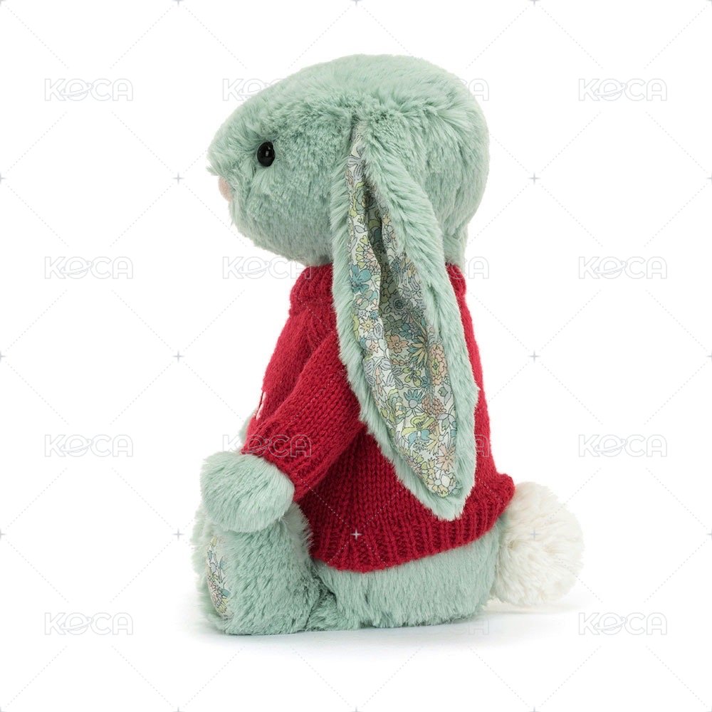 Sage Bunny with Personalized Red Jumper