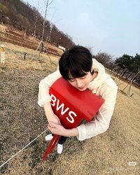 qingyan