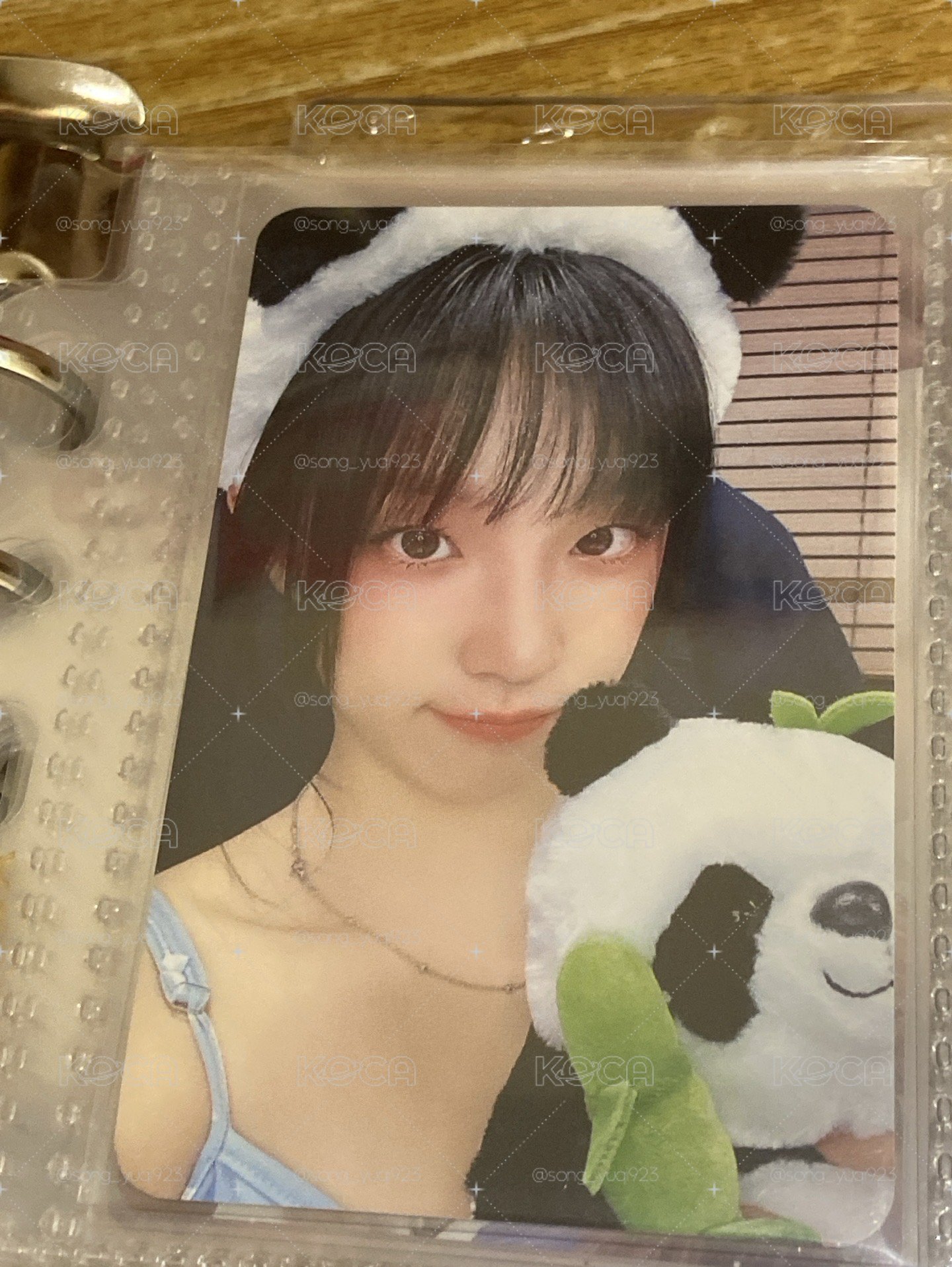 🈹❤️➗熊貓琦綁1張