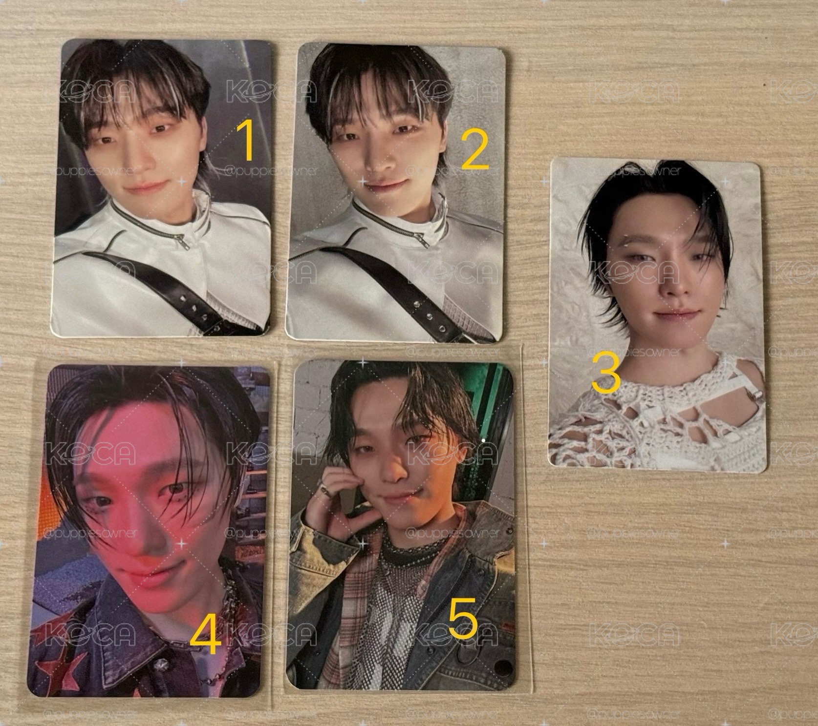 svt dino小卡🦦