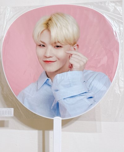 【知勳】CARAT SUMMER CAMP大扇